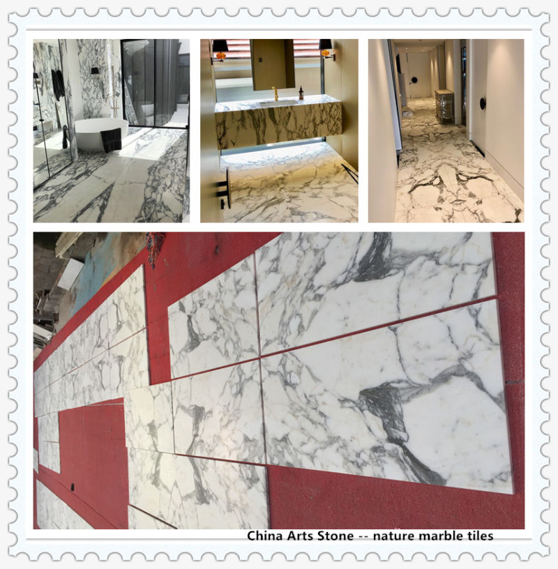 Polished or Honed Carrara White Marble Slab for Tile and Countertop