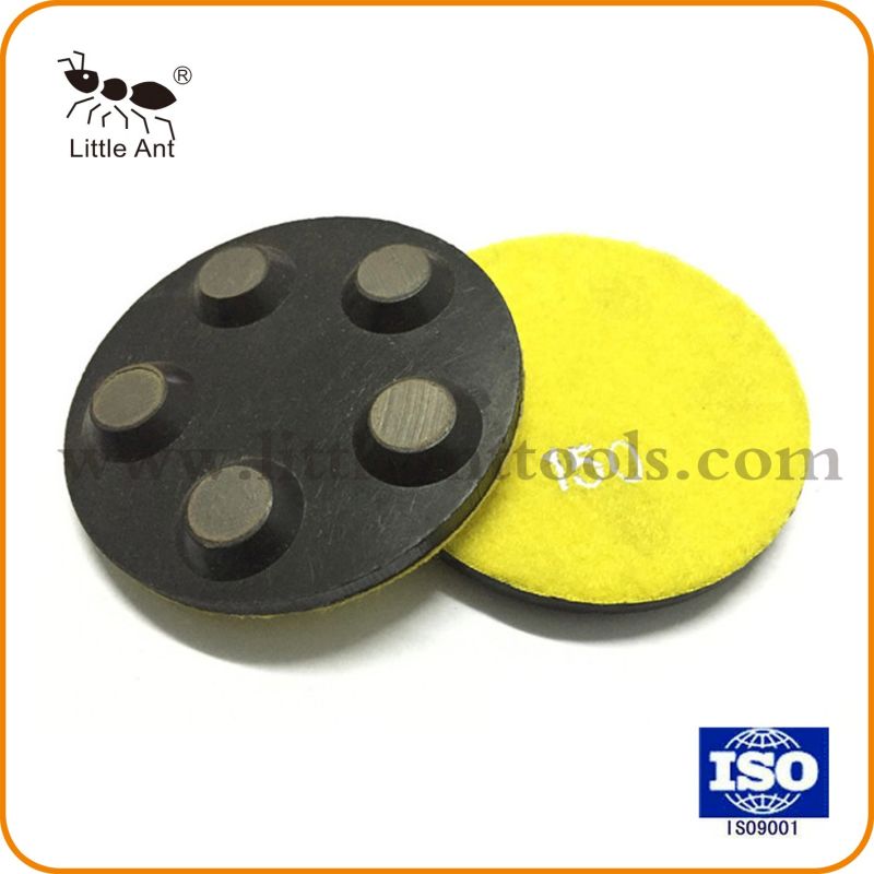 4 Inch 5 Dots Diamond Resin Metal Polishing Pads for Comcrete