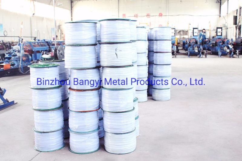 Wire Rope Coated with Plastic, PVC Coated Steel Wire Rope