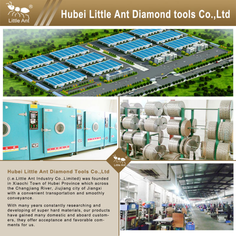 High Quality Diamond Tool Concrete Floor Metal Grinding Plate 4"/100mm