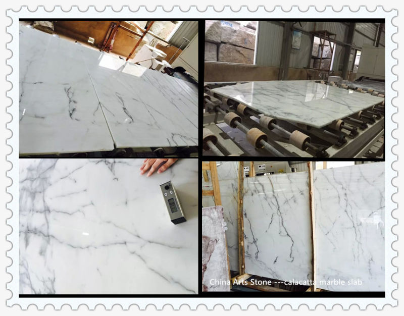 Polished or Honed Carrara White Marble Slab for Tile and Countertop