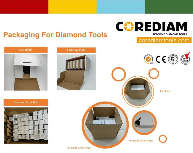30# Redi Lock Diamond Grinding Plate/Diamond Tool/Grinding Head