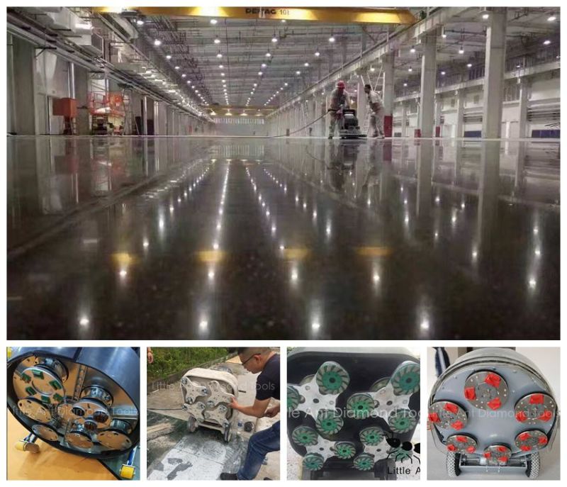 Trapezoid Concrete Floor Diamond Grinding Shoes with Different Color
