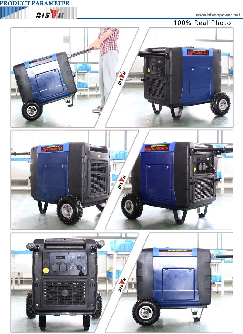 Bison (China) BS6300X 6.3kw Hot Selling High Quality Experienced Supplier Cheapest Inverter Generator for Sale
