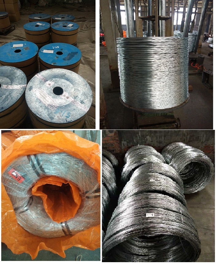 Galvanized Wire/Electro Galvanized Wire/Galvanized Steel Wire for Construction