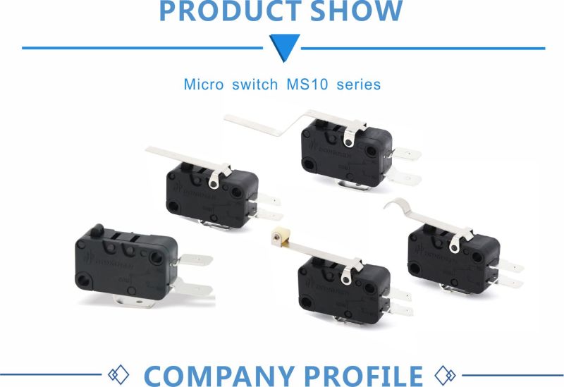 Long Life High Reliability a Variety of Temperature Class Micro Switch