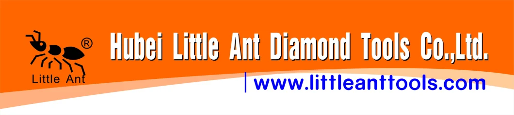 Dry Use Concrete Diamond Floor Polishing Grinding Pads