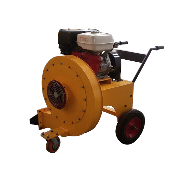 Strong Wind Electric Mobile Road Blower for Sale