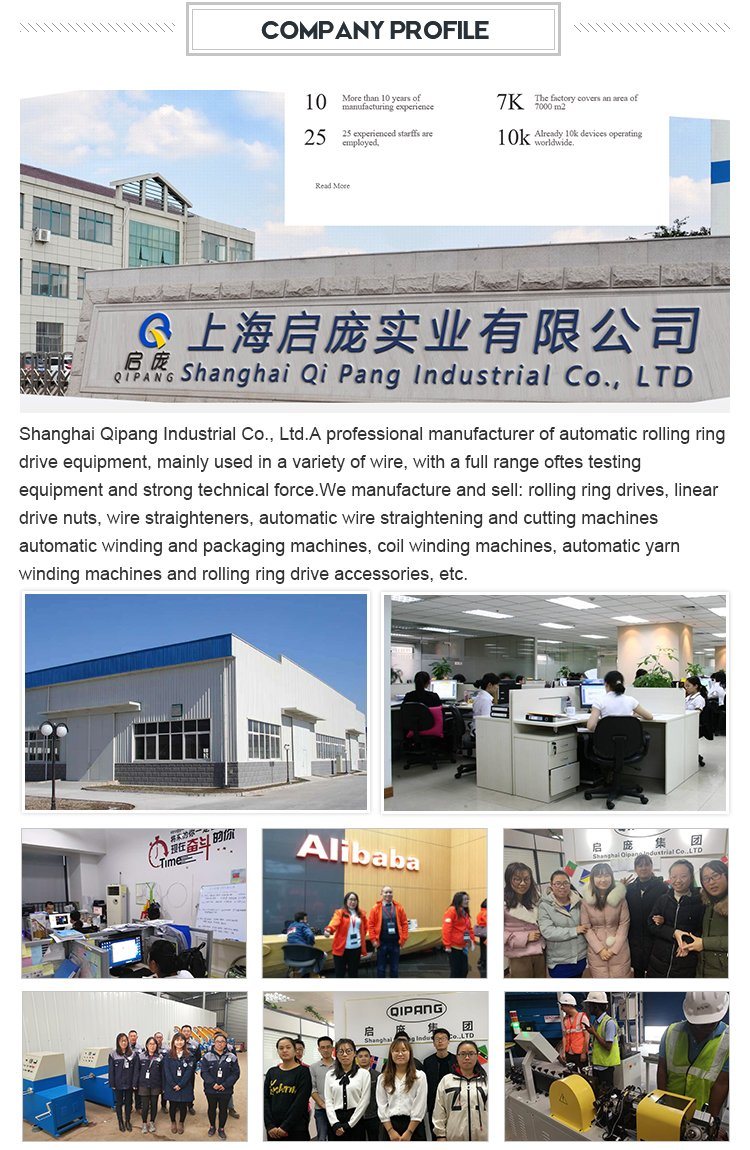 Shqipang Wire Straightening and Cutting Bending Machine Wire Cutter