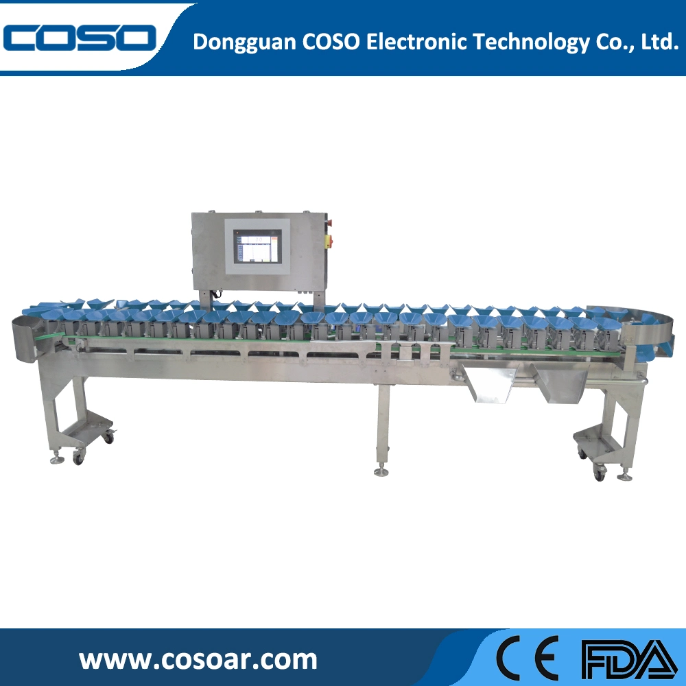 Chinese Automatic Digital Weighing Scale with Printer, Conveyor Belt Roller Scale, Check Weight Machine