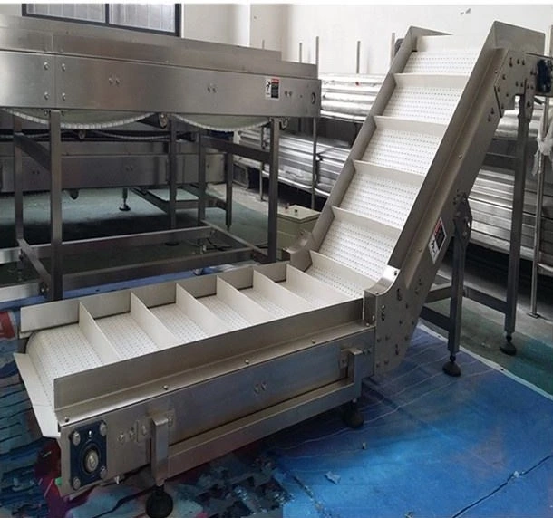 Conveyor System, Flat Top Modular Belt Conveyor Line Product Cheese Wafer Transfer Line Upload Conveyor