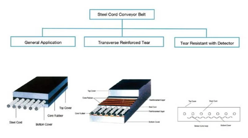 Optimized Energy Saving St Belt for Conveyor Pulleys with Polyester Ep Canvas for Wood Processing Industry