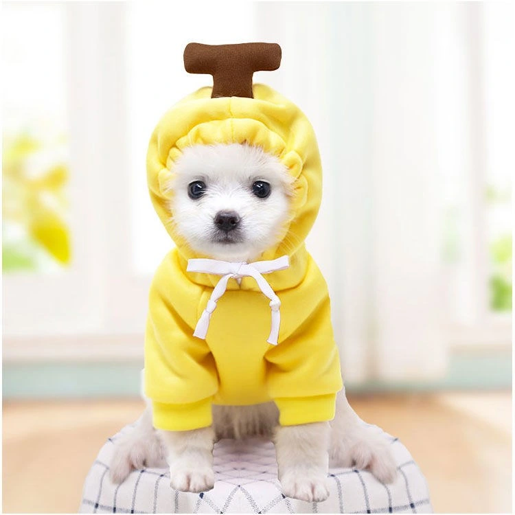 Dog Winter Clothes Dog Jacket Pet Cold Weather Clothes for Small Medium Large Dogs