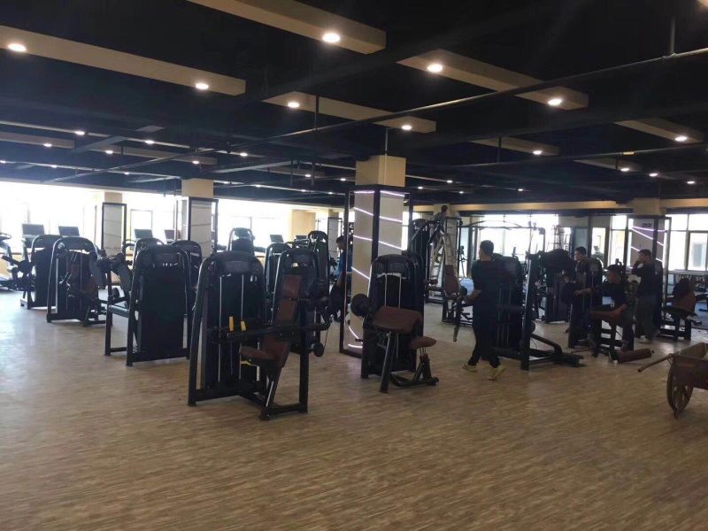 Commercial Gym Fitness Manufacturer Series Lower Back Machine Equipment
