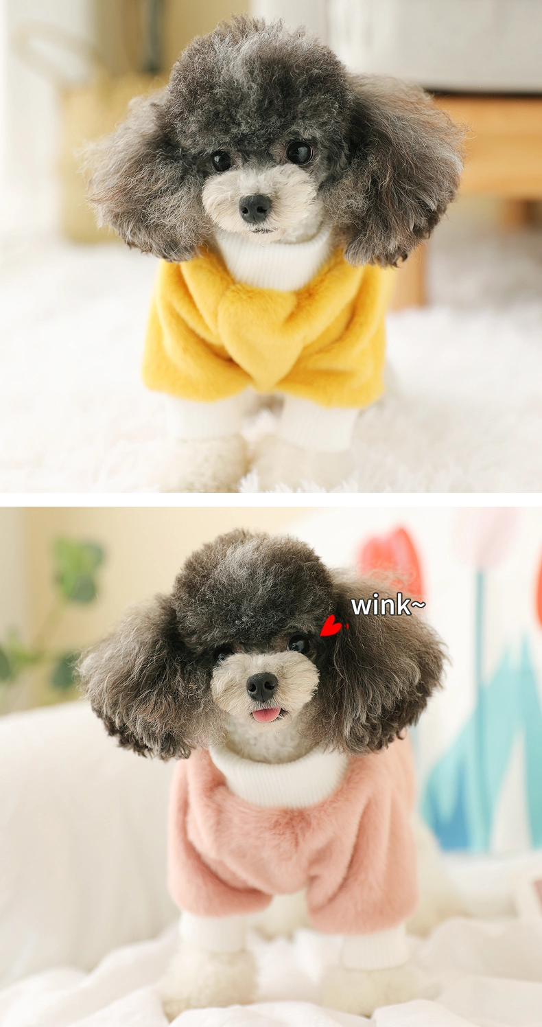 Pet Winter Coat Windproof Puppy Clothes Outdoor and Indoor Apparel