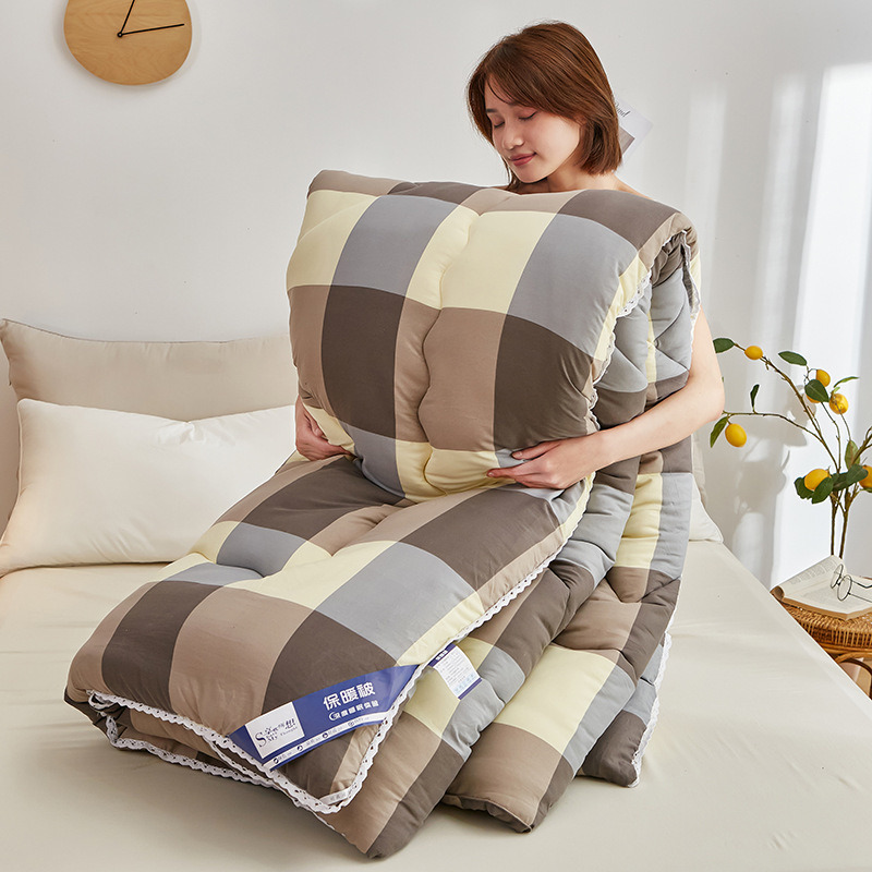 Down Comforter Down Comforter 100% Down Quilt Es20201105s-Bz-26