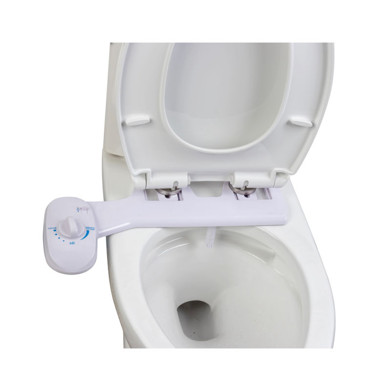 Simple Cold Water Bidet Seat with Soft Body Cleaning Function