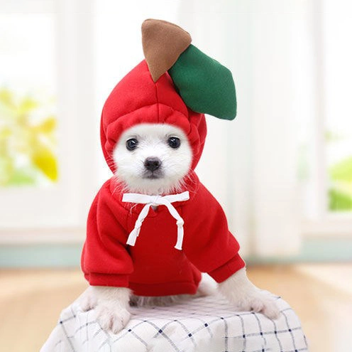 Dog Winter Clothes Dog Jacket Pet Cold Weather Clothes for Small Medium Large Dogs