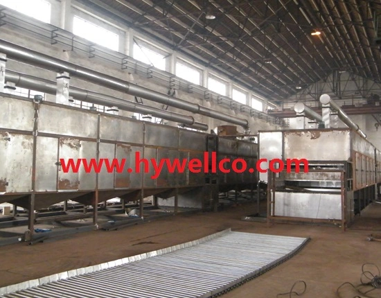 Customized Continuous Mesh Belt Drying Machine / Belt Dryer Machine / Belt Drier Machine for Fruit/Vegetable/Herb