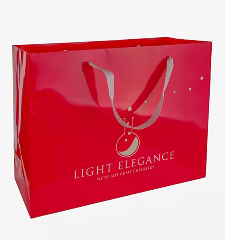 Luxury Paper Box and Paper Bags for Clothing