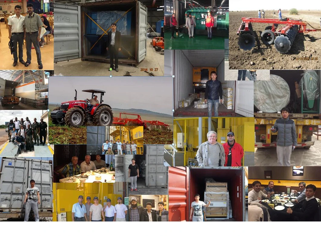 Foldingtiller Machine/Land Preparation Machine/Soil Preparation Machines/Heavy Disc Harrow (factory selling customization)