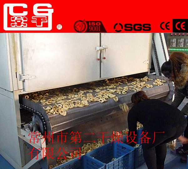 Affordable Onion Drying Machine Fruit Dryer Fish Seafood Drying Machine Mesh Belt Dryer