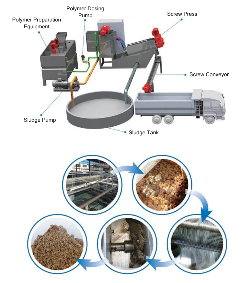 Screw Type Sludge Dewatering Machine for Food Industry