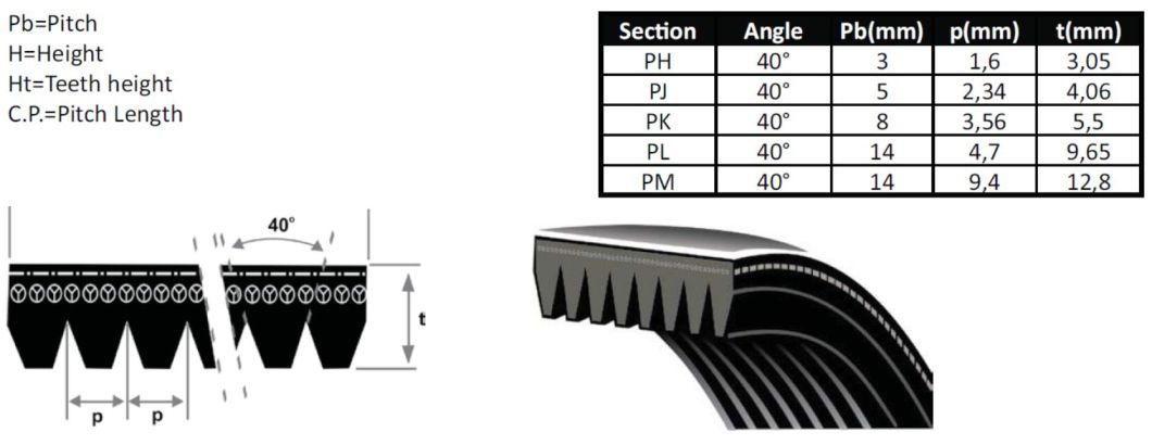 Multi-Ribbed Belts, Ribbed Belts, V Ribbed Belts, Automotive Ribbed Belt