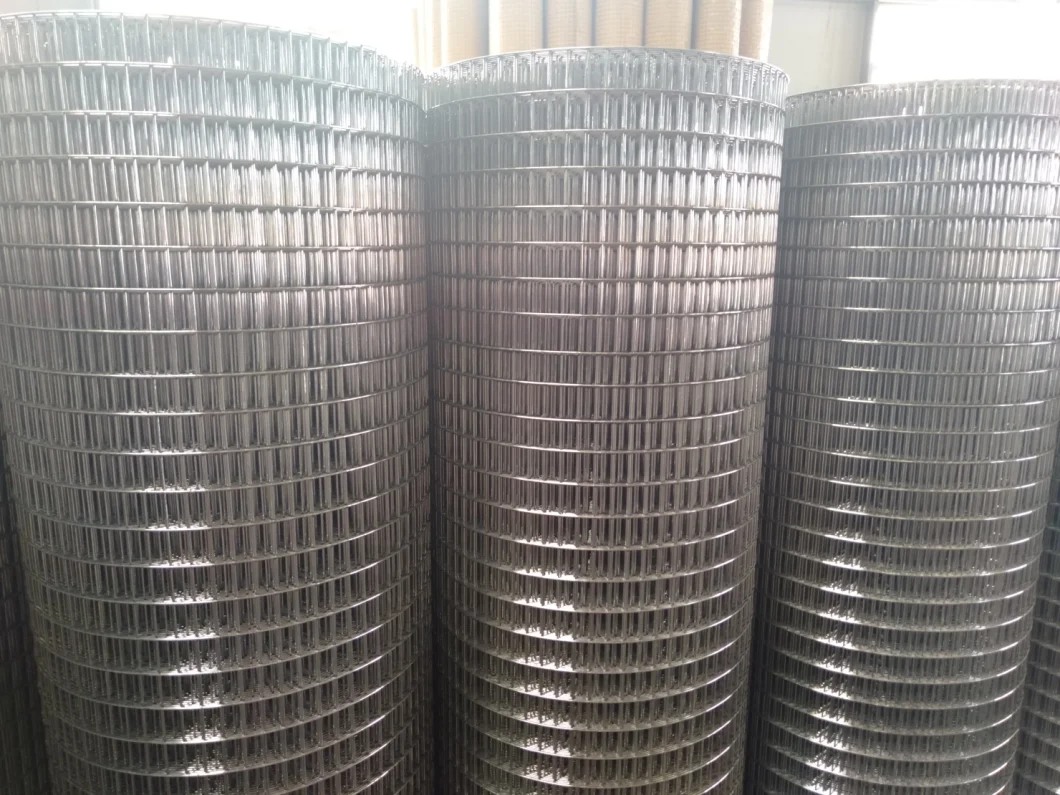 2.5mm Low Carbon Steel Hot Dipped Galvanized Welded Wire Mesh Panel