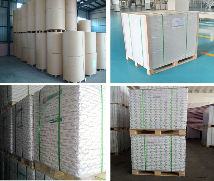 Duplex Board with White Back Paper /Gc1 Coated Ivory Board Paper