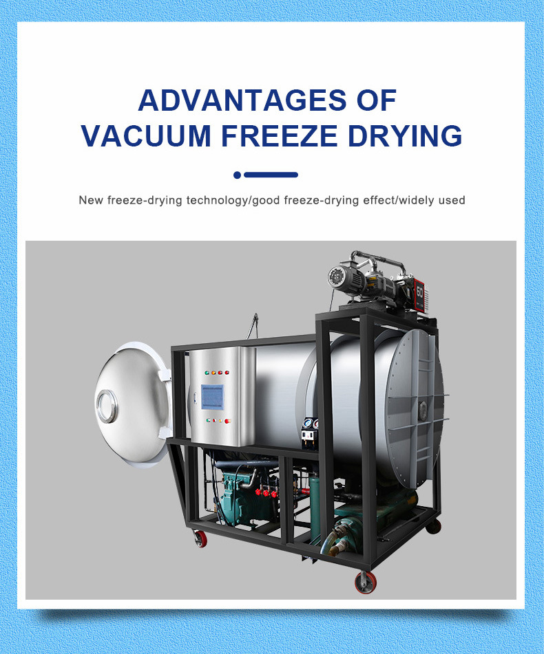 Vertical Freeze Dryer with LCD Touch Screen Vertical Freeze Dryer