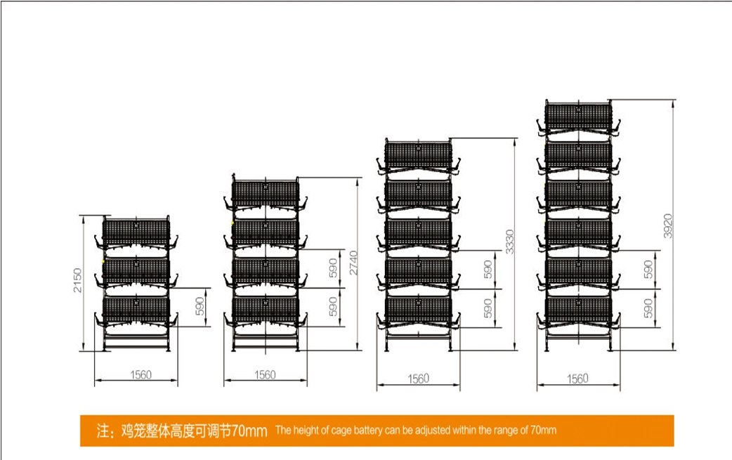 Complete Poultry Shed Farm Equipment for Battery Layer Chicken Cage