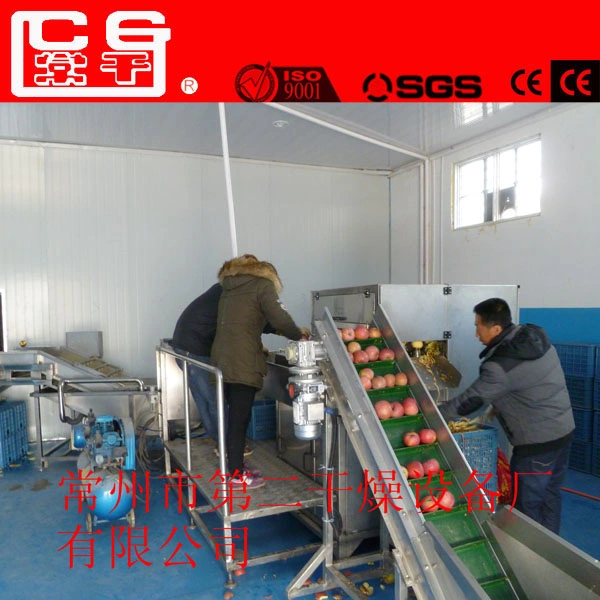 Affordable Onion Drying Machine Fruit Dryer Fish Seafood Drying Machine Mesh Belt Dryer