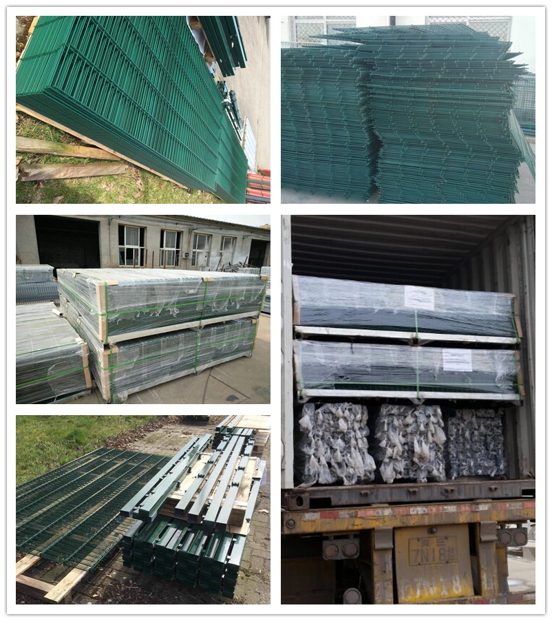Twin Wire 6/5/6mm Fencing Mesh Fence Double Wire Galvanized Welded Wire Mesh Fence Panel