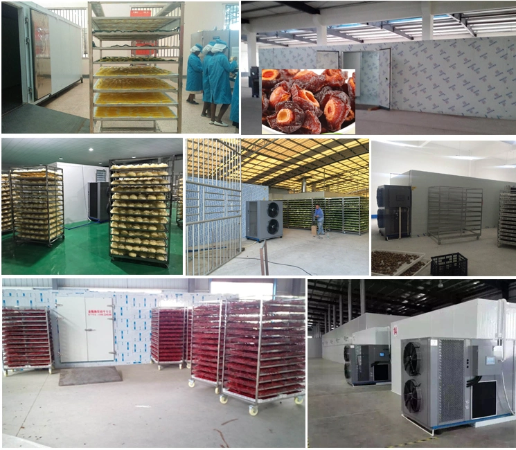 Touch Screen Operation Fruit and Vegetable Dryer Machine