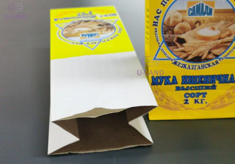 Square Bottom Kraft Shopping Paper Bag Machine with Double Layer