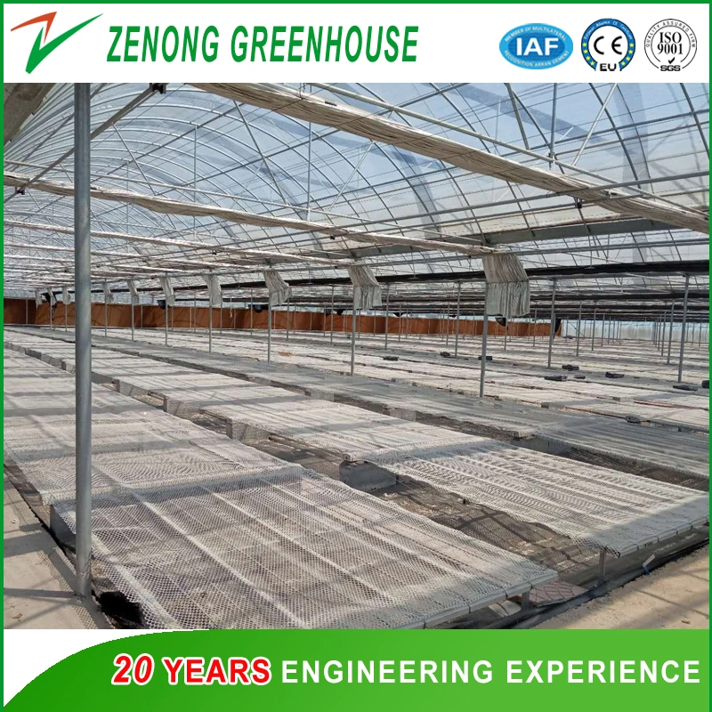 Popular Single Layer/Double Layer Plastic Film Greenhouse with Temperature/Humidity Sensor for Sale