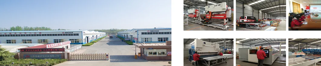 Prefabricated Steel Structure House & Equipment for Broiler / Layer Polutry Shed