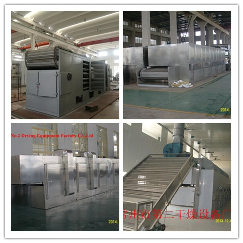 Dw Model Continous Cassava Slice Mesh Belt Dryer/Conveyor Dryer