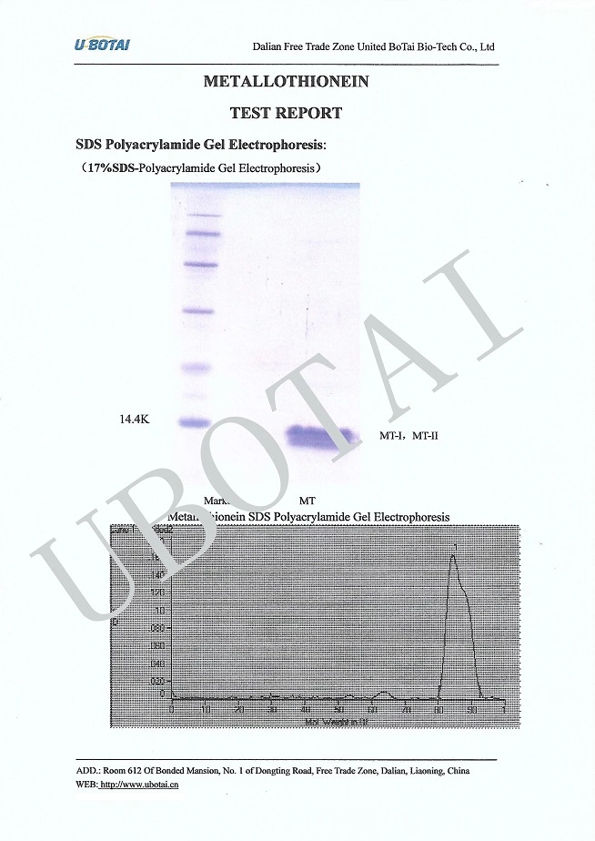 Biological Protein Metallothionein (MTs-70%) Biological Products Cosmetics Biological Reagent