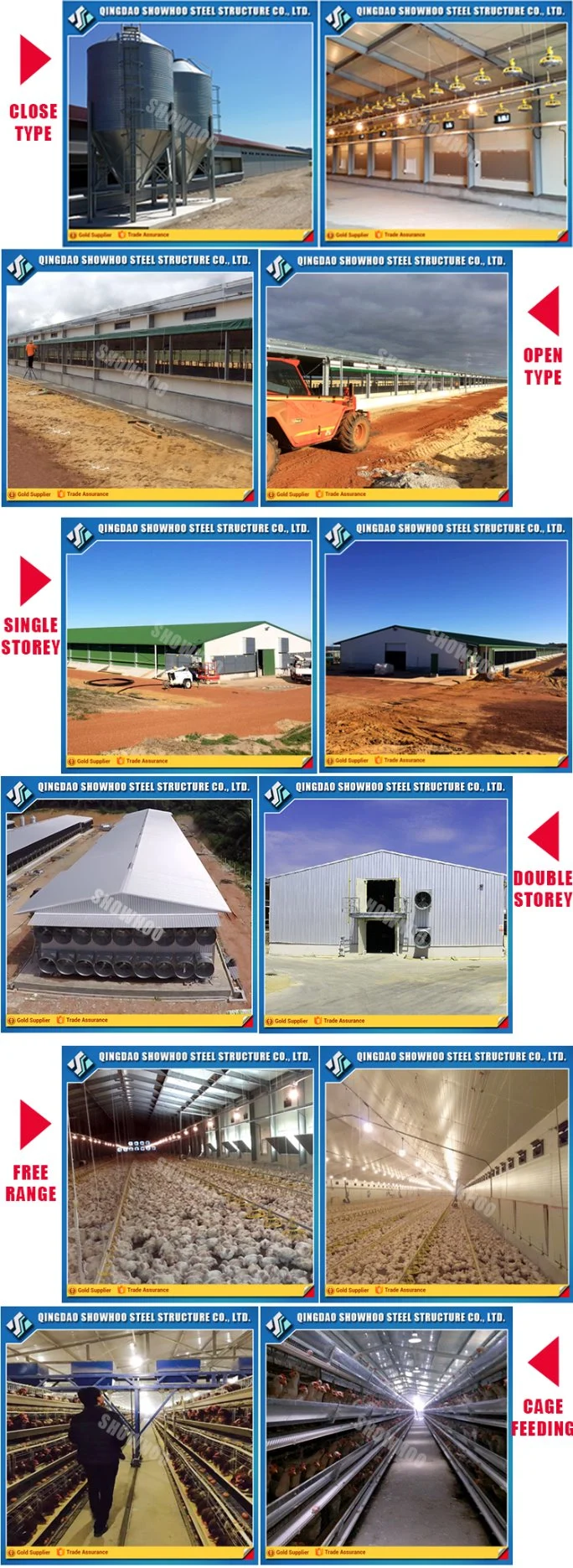 Commercial Steel Structure Poultry Farm Chicken Layer Shed