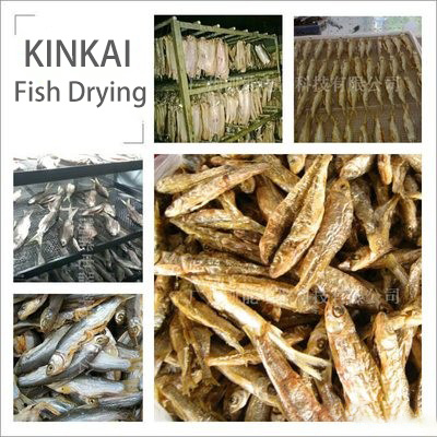 Fish Drying Machine/ Drying Oven for Seafood/ Industrial Fish Drying