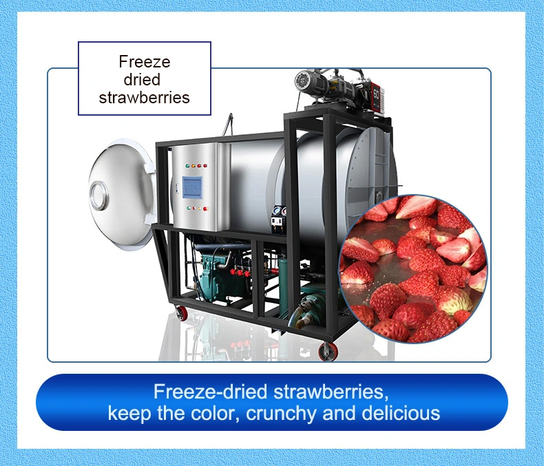 100kg Freeze Dryer, Freeze Dryer, Commercial Freeze Dryer