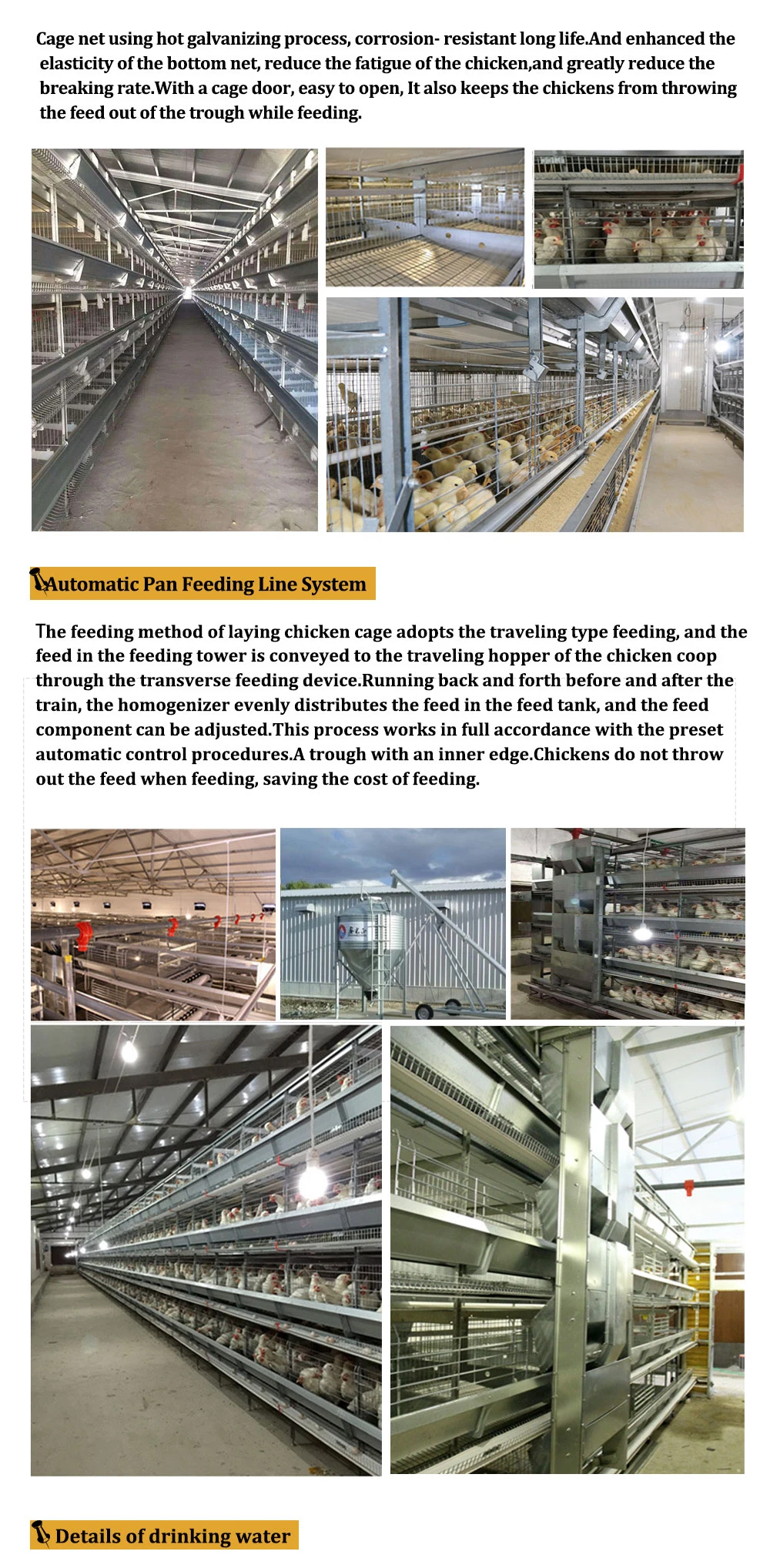 Steel Structure Building Design Poultry Farm Shed Layer Chicken House