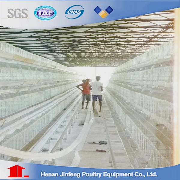Layer Poultry Battery Chicken Cage for Poultry Shed