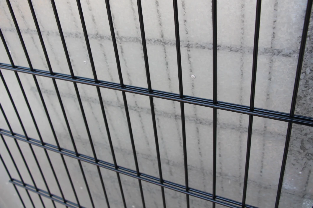 Double Layer Wire Mesh