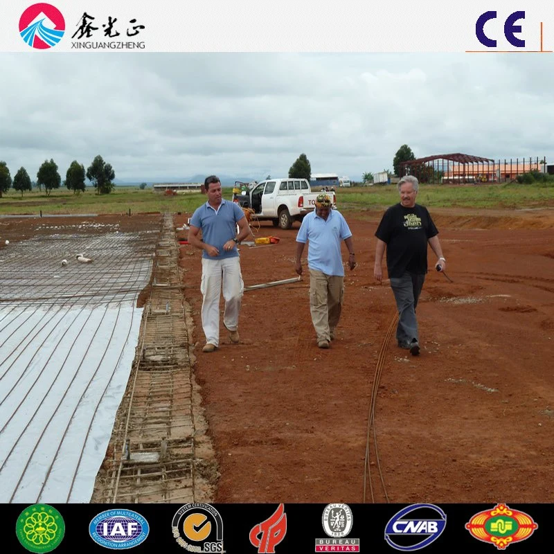 Cage Breeding Layer Hen House Checken House Poultry Shed