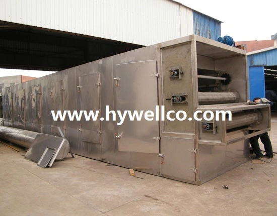 Customized Continuous Mesh Belt Drying Machine / Belt Dryer Machine / Belt Drier Machine for Fruit/Vegetable/Herb
