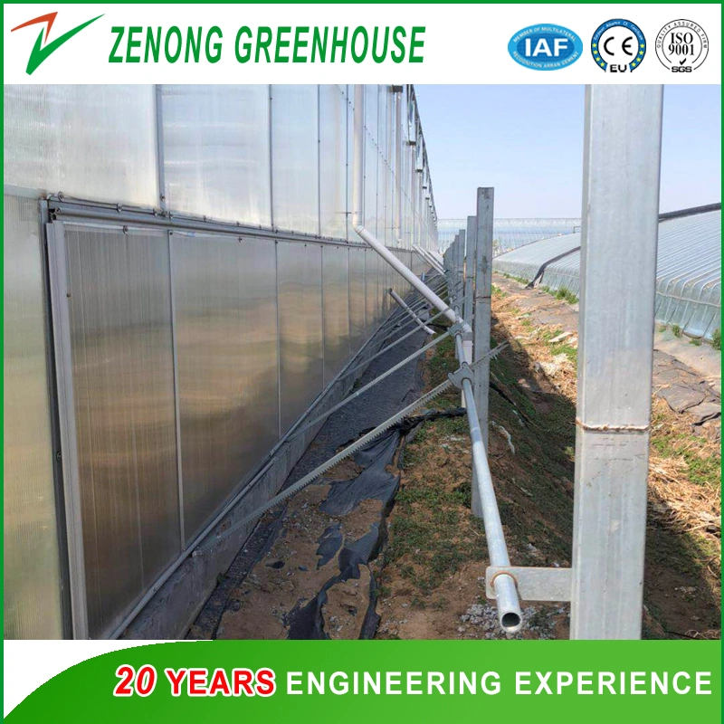 Popular Single Layer/Double Layer Plastic Film Greenhouse with Temperature/Humidity Sensor for Sale