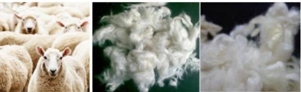 15-150kg Clothes Wool Fabric Textile Garment Linen Jeans Tumble Dryer Industrial Cloth Drying Machine